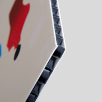 Hohlkammerplatte, farbig bedruckt, Motiv, details