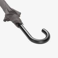 Klassischer Automatik-Stockschirm, 4/0-farbig, 2 Segmente bedruckt