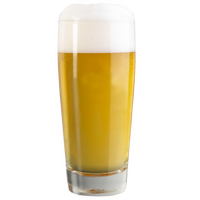 Bierglas biergefüllt