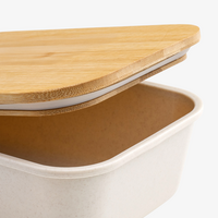 Kunststoff-Lunchbox Detail Deckel