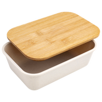 Kunststoff-Lunchbox Draufsicht Deckel geöffnet