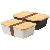 Kunststoff-Lunchbox Farbauswahl