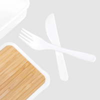 Kunststoff-Lunchbox Detail Besteck