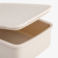 Kunststoff-Lunchbox Detail Deckel