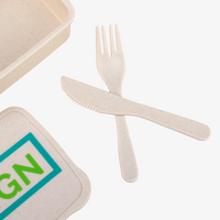 Kunststoff-Lunchbox Detail Besteck