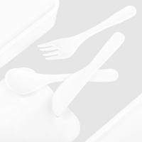 Kunststoff-Lunchbox Detail Besteck