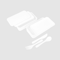 Kunststoff-Lunchbox Bestandteile