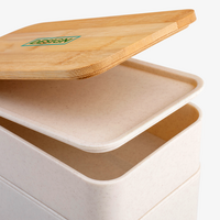 Kunststoff-Lunchbox Detail Deckel