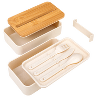 Kunststoff-Lunchbox Bestandteile