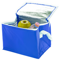 Lunch-Kühltasche, ohne Werbeanbringung