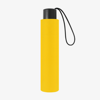 Mini-Taschenschirm, 4/0-farbig, 2 Segmente bedruckt