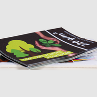 Musterset, Farbig bedruckt, details