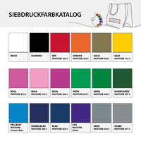 Non-Woven-Messetasche, zwei Farbtöne, Siebdruckfarbkatalog