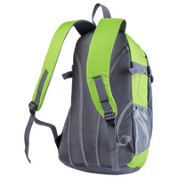 Outdoor-Rucksack aus wasserfestem Polyester, 25 l, Rückseite