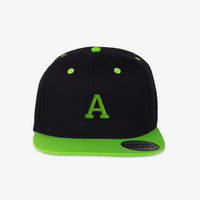 cap, bestickt, 2 farbig