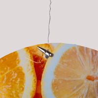 Deckenhänger Rund, farbig bedruckt, hängend, Orangen Motiv