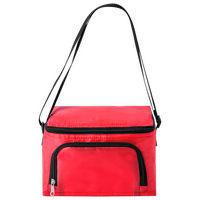 Picknick-Kühltasche aus Polyester mit Reißverschlussfach, ohne Werbeanbringung