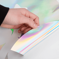 Plottfolie in Rainbow Holographic Optik mit freier Wunsch-Kontur, Detail Folie