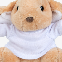 Nahaufnahme brauner Hase schnautze und Augen 