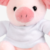 Nahaufnahme Schweinchen von vorne Schnautze und Augen 