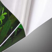 Klebefolie, farbig bedruckt, rechteckig, Jungle Motiv 