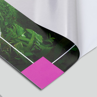 Klebefolie, farbig bedruckt, rechteckig, Jungle Motiv 