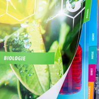 Registerblätter, farbig bedruckt, motiv