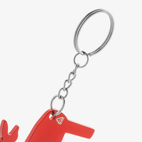 Nahaufnahme Schlüsselring