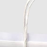 Papiertragetaschen mit Papierkordeln, 25 x 21 x 9 cm, 1/0 farbig