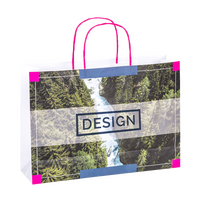 Papiertragetaschen mit Papierkordeln, 25 x 21 x 9 cm, 4/0 farbig