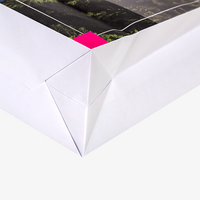 Papiertragetaschen mit Papierkordeln, 32 x 40 x 12 cm, 4/0 farbig