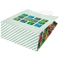 Rundumbedruckte Papiertragetasche in S mit Papierkordeln, 22 x 30 x 10 cm, 4/0-farbig