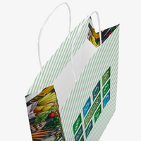 Rundumbedruckte Papiertragetasche in S mit Papierkordeln, 22 x 30 x 10 cm, 4/0-farbig