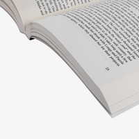 Taschenbuch, DIN A5 hoch, innen Detail