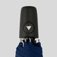 Taschenschirm, Henkel, stehend, Blau