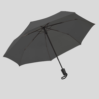 Taschenschirm, geoeffnet, Grau