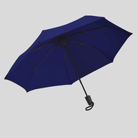 Taschenschirm, geoeffnet, Blau