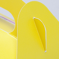 Tragegriffverpackung, farbig bedruckt, Motiv, detail