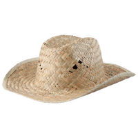 Unisex-Cowboy-Strohhut natur, ohne Werbeanbringung