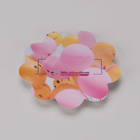 Wahlplakat, farbig bedruckt, liegend, Button Form