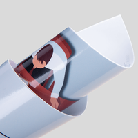 Fensterdekorfolie, farbig bedruckt, eingerollt 