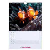 WIRmachenDRUCK-Kalender-Musterset inkl. CHF 10 Rabattcode